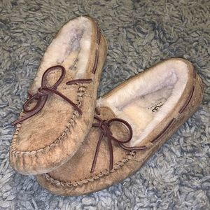UGG Dakota slippers WORN ONCE color: chestnut